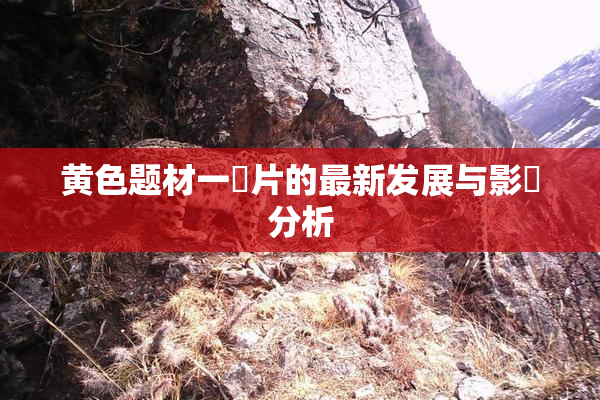 黄色题材一級片的最新发展与影響分析