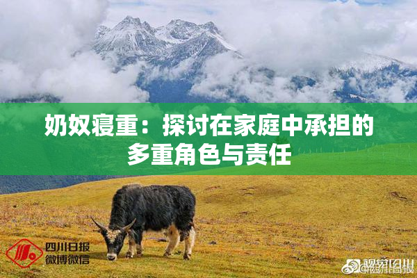 奶奴寝重：探讨在家庭中承担的多重角色与责任