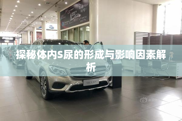 探秘体内S尿的形成与影响因素解析