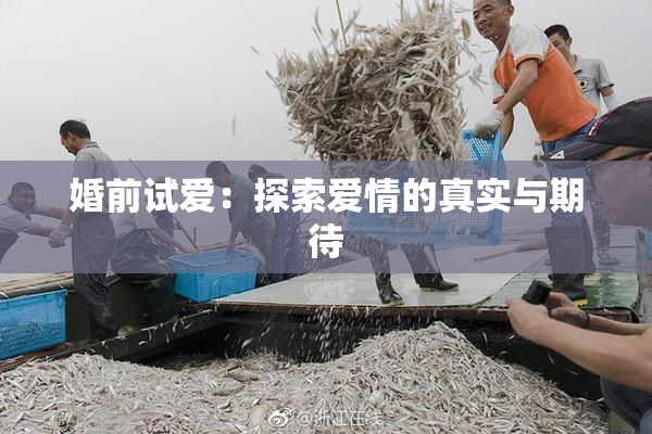 婚前试爱：探索爱情的真实与期待