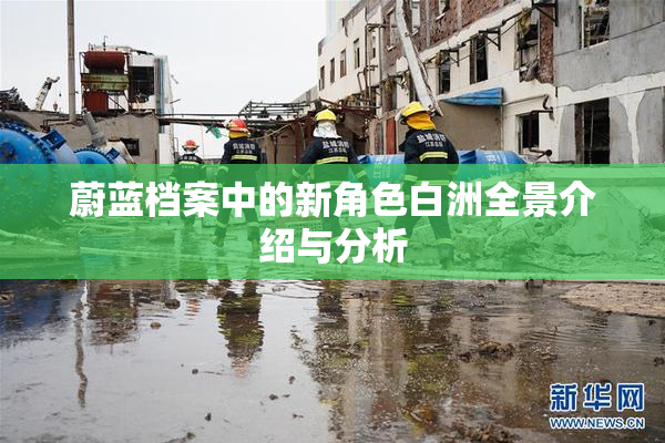 蔚蓝档案中的新角色白洲全景介绍与分析