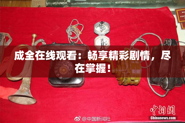成全在线观看：畅享精彩剧情，尽在掌握！