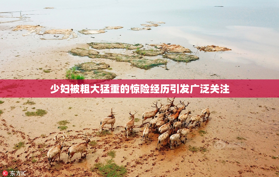 少妇被粗大猛重的惊险经历引发广泛关注