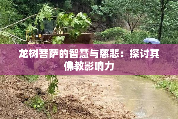 龙树菩萨的智慧与慈悲：探讨其佛教影响力