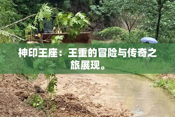 神印王座：王重的冒险与传奇之旅展现。
