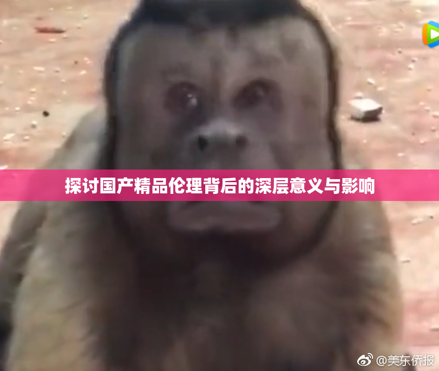探讨国产精品伦理背后的深层意义与影响