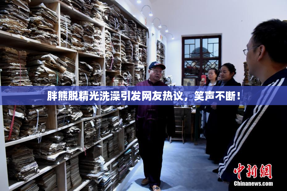 胖熊脱精光洗澡引发网友热议，笑声不断！