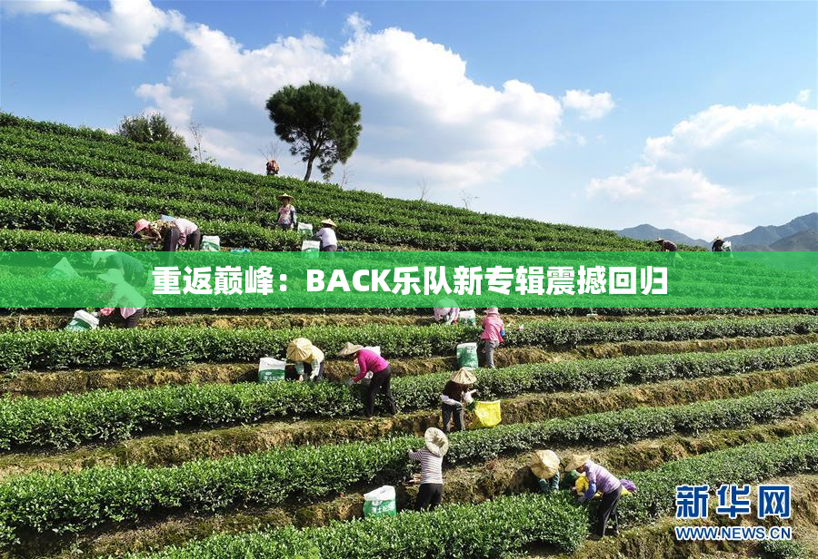重返巅峰：BACK乐队新专辑震撼回归