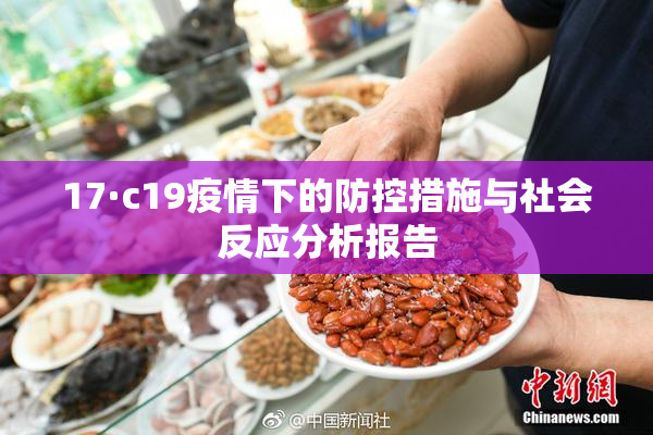 17·c19疫情下的防控措施与社会反应分析报告