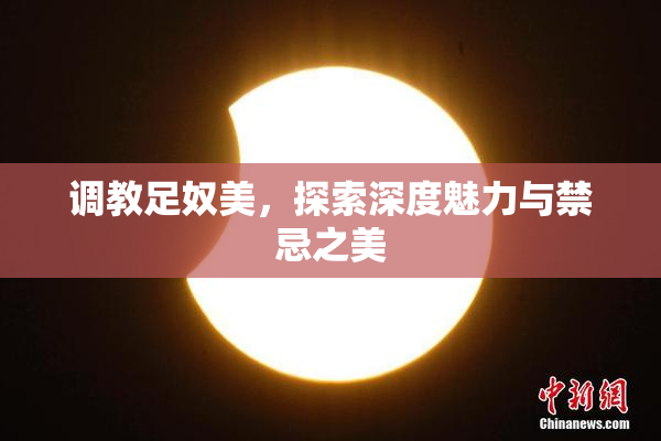调教足奴美，探索深度魅力与禁忌之美
