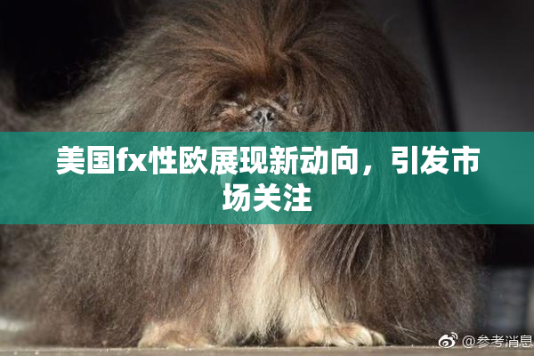 美国fx性欧展现新动向，引发市场关注