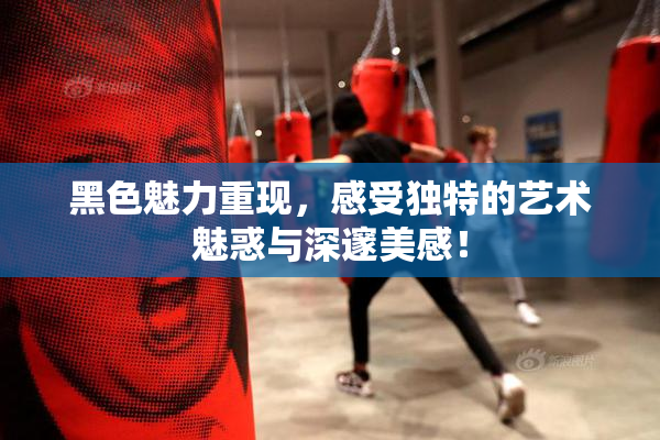 黑色魅力重现，感受独特的艺术魅惑与深邃美感！