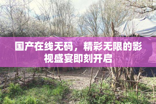 国产在线无码，精彩无限的影视盛宴即刻开启