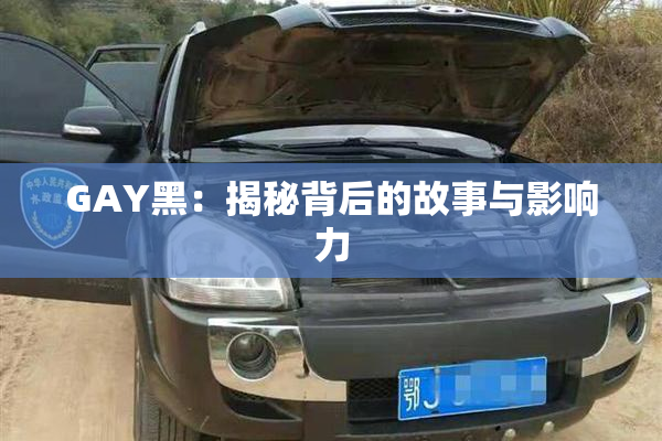 GAY黑：揭秘背后的故事与影响力