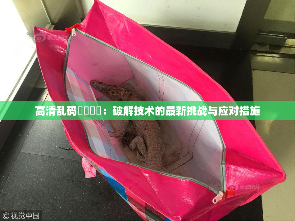 高清乱码❌‌❌‌：破解技术的最新挑战与应对措施
