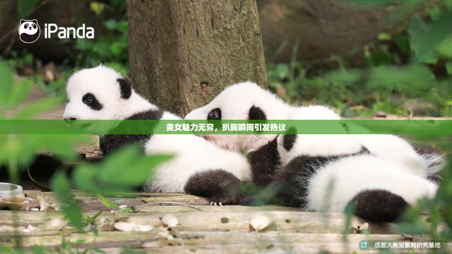 美女魅力无穷，扒胸瞬间引发热议