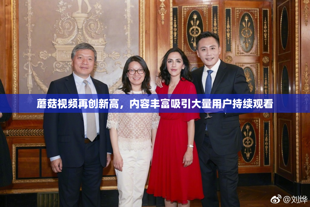 蘑菇视频再创新高，内容丰富吸引大量用户持续观看
