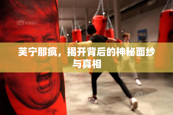 芙宁那疯，揭开背后的神秘面纱与真相