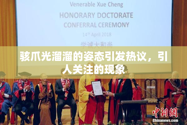 骇爪光溜溜的姿态引发热议，引人关注的现象