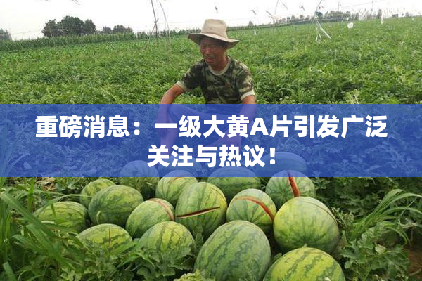 重磅消息：一级大黄A片引发广泛关注与热议！