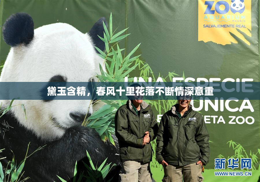 黛玉含精，春风十里花落不断情深意重