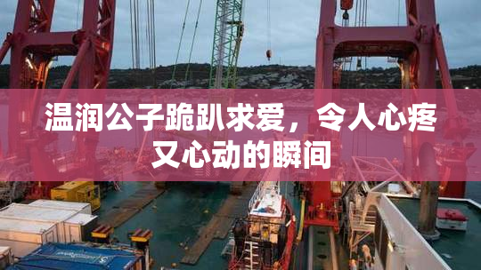 温润公子跪趴求爱，令人心疼又心动的瞬间