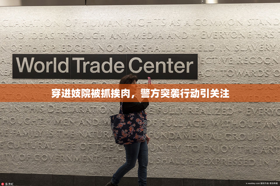 穿进妓院被抓挨肉，警方突袭行动引关注