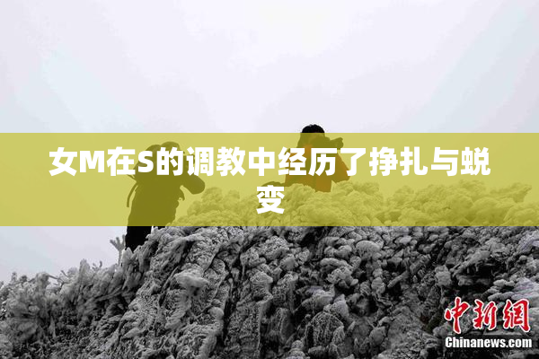女M在S的调教中经历了挣扎与蜕变