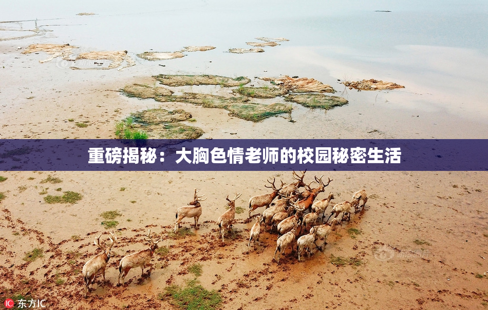 重磅揭秘：大胸色情老师的校园秘密生活