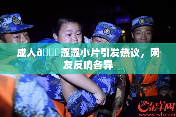 成人🔞涩涩小片引发热议，网友反响各异