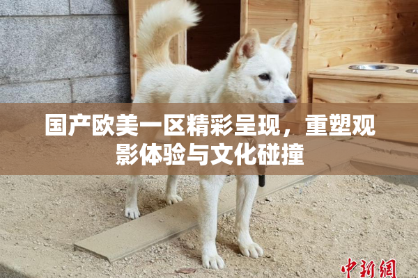 国产欧美一区精彩呈现，重塑观影体验与文化碰撞