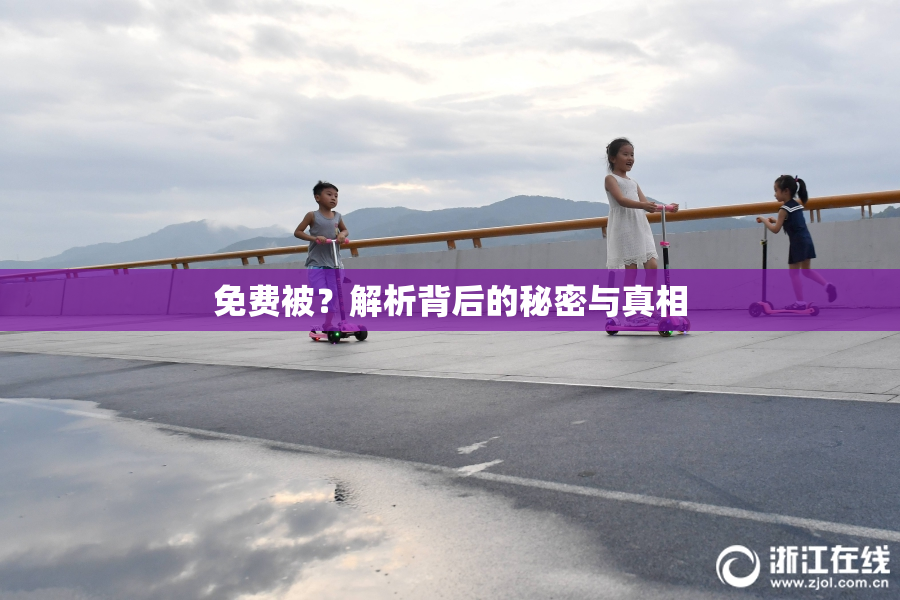 免费被？解析背后的秘密与真相