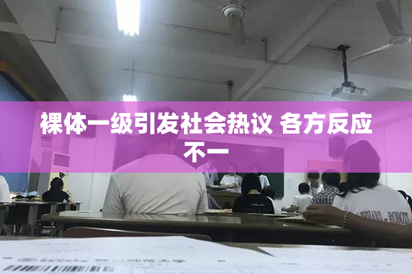 裸体一级引发社会热议 各方反应不一