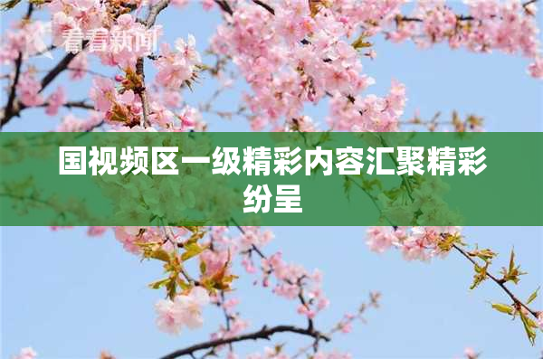 国视频区一级精彩内容汇聚精彩纷呈