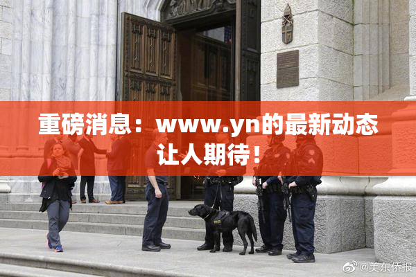 重磅消息：www.yn的最新动态让人期待！