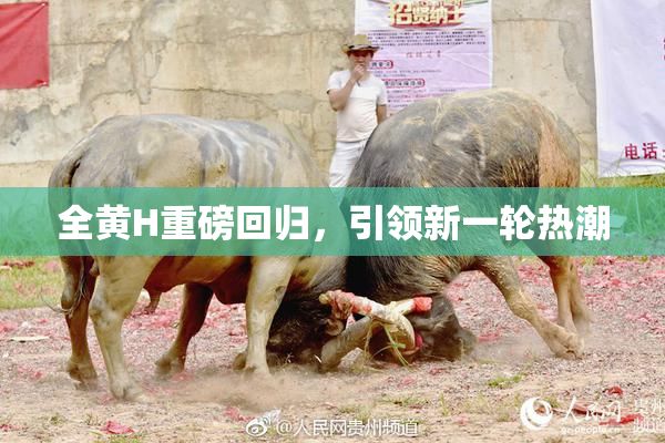 全黄H重磅回归，引领新一轮热潮