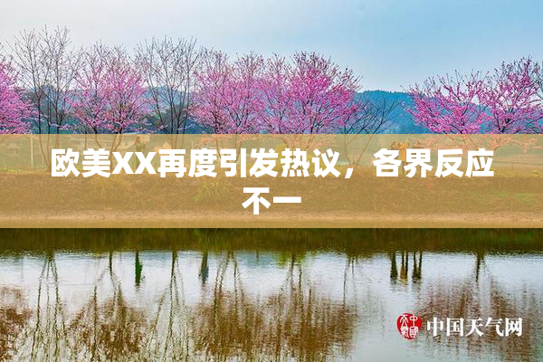 欧美XX再度引发热议，各界反应不一