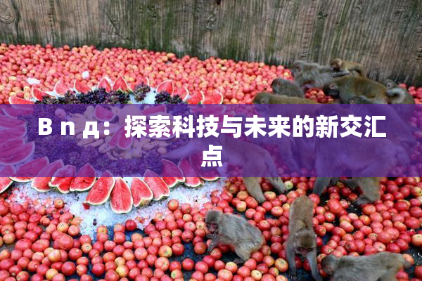 B n д：探索科技与未来的新交汇点