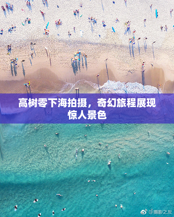 高树零下海拍摄，奇幻旅程展现惊人景色