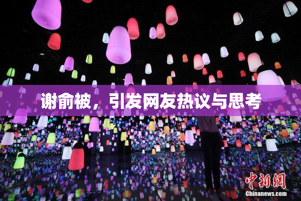 谢俞被，引发网友热议与思考