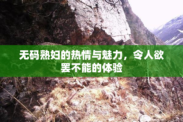 无码熟妇的热情与魅力，令人欲罢不能的体验