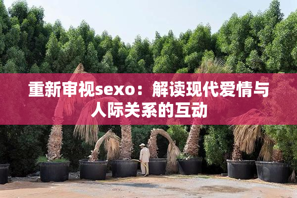 重新审视sexo：解读现代爱情与人际关系的互动