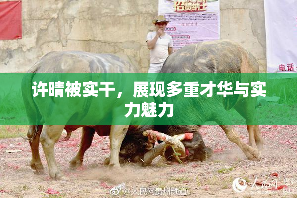许晴被实干，展现多重才华与实力魅力