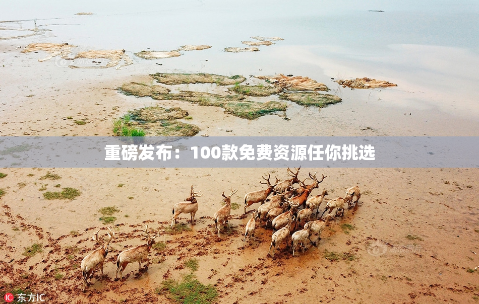 重磅发布：100款免费资源任你挑选