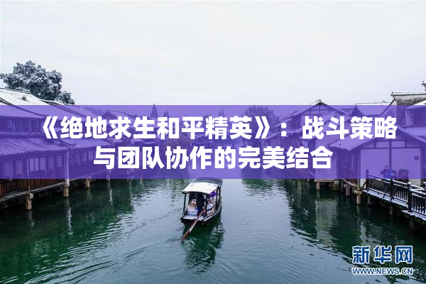 《绝地求生和平精英》：战斗策略与团队协作的完美结合
