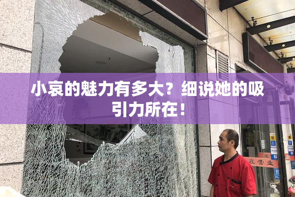 小哀的魅力有多大？细说她的吸引力所在！
