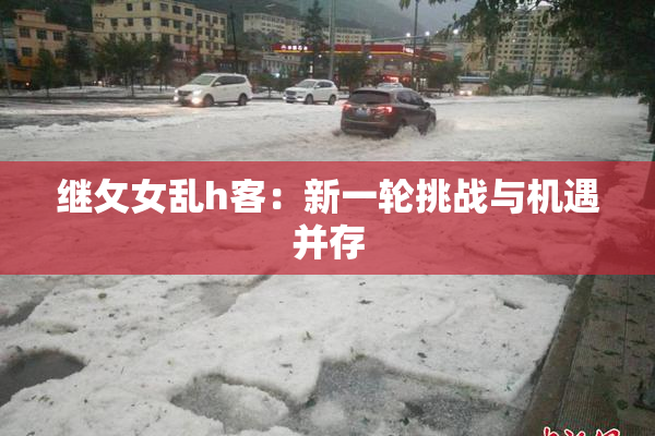 继攵女乱h客：新一轮挑战与机遇并存