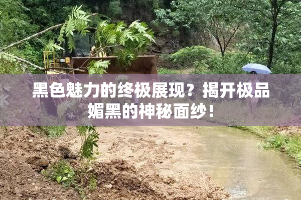 黑色魅力的终极展现？揭开极品媚黑的神秘面纱！
