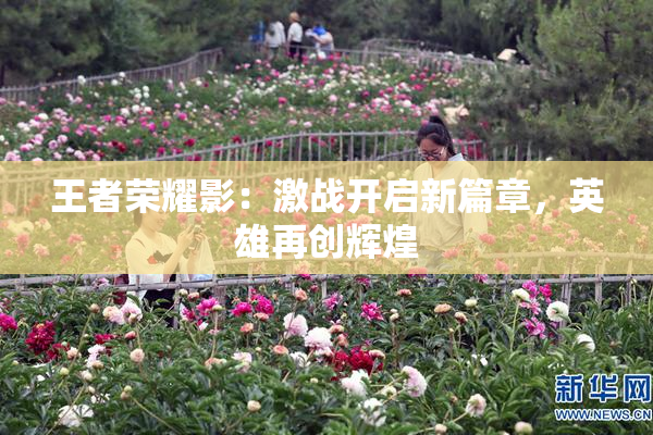 王者荣耀影：激战开启新篇章，英雄再创辉煌