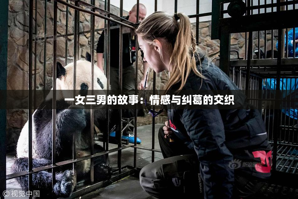 一女三男的故事：情感与纠葛的交织